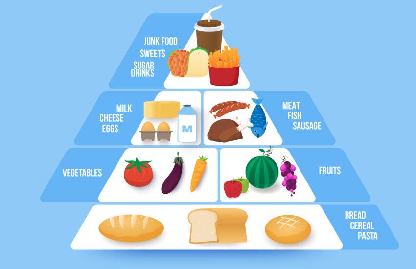 Food And Nutrition Food And Its Functions