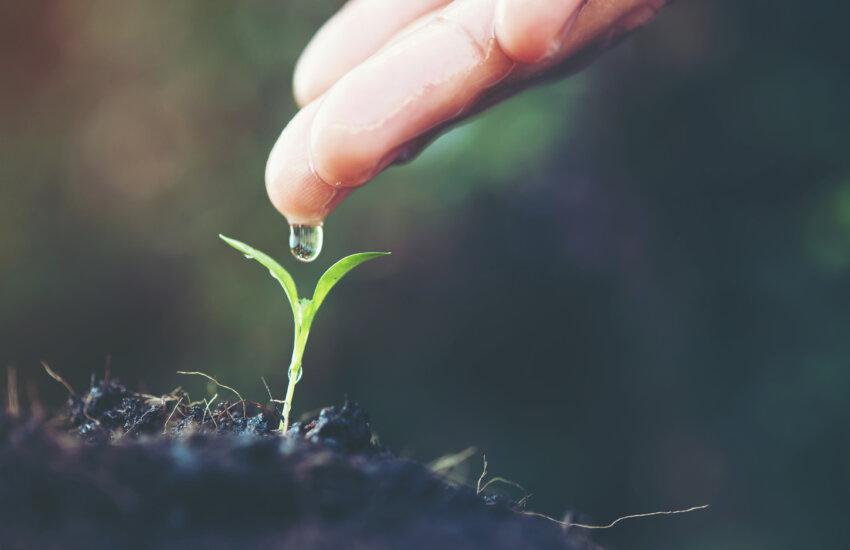 Organic Farming: Irrigation Water