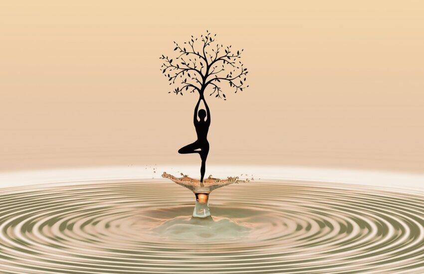 True Nature Of Yoga