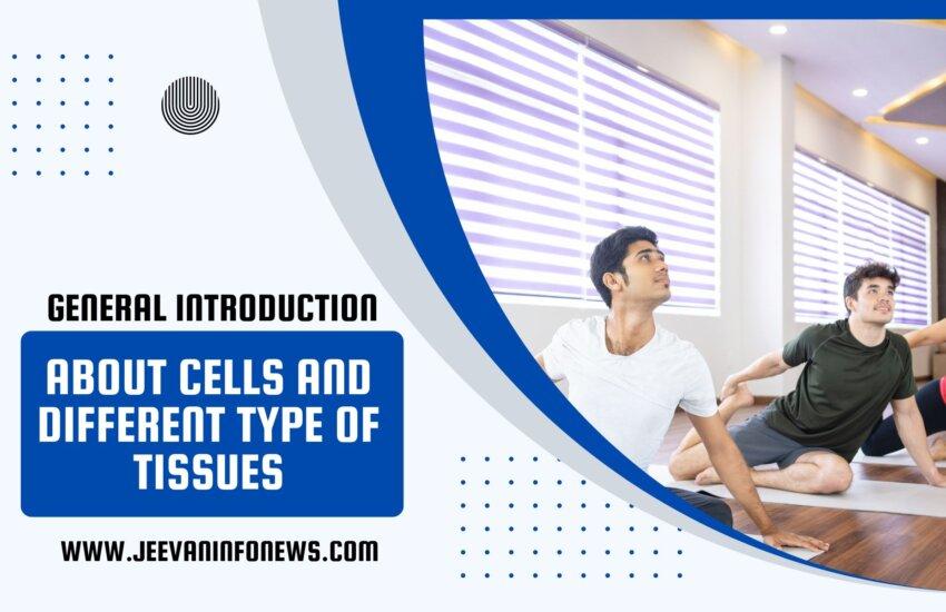 Yoga - General Introduction About Cells And Different Type Of Tissues
